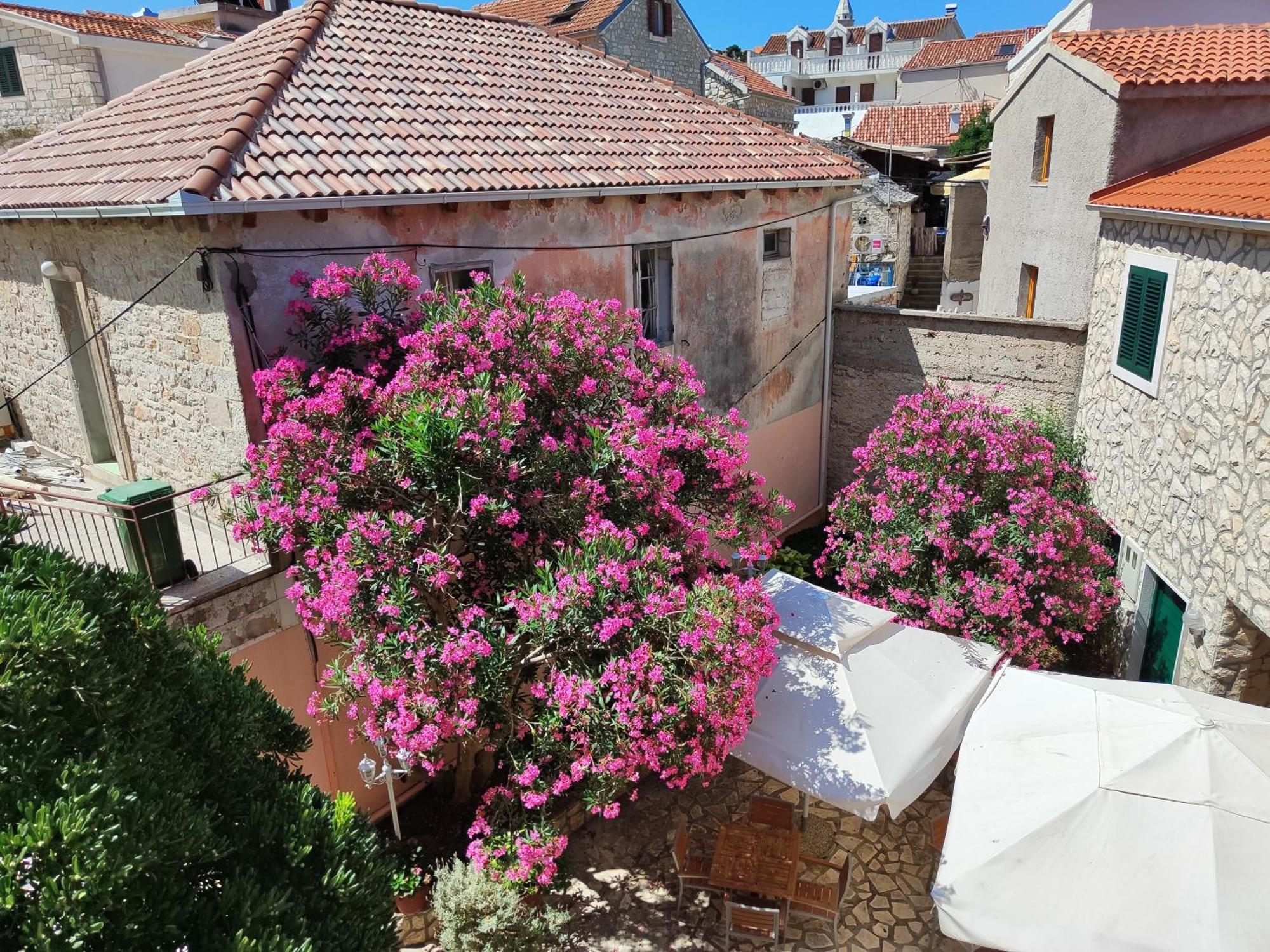 Guest House Adria Primošten Εξωτερικό φωτογραφία